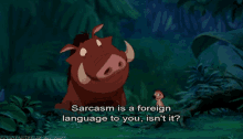 On Sarcasm GIF - Cartoon Lion King Timone GIFs
