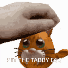 pet da tabby egg