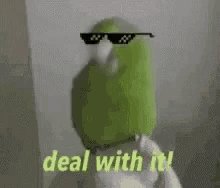 Deal With It Swag GIF
