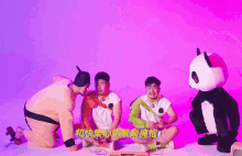 Produce Pandas Chen4eva GIF - Produce Pandas Produce Panda Chen4eva GIFs
