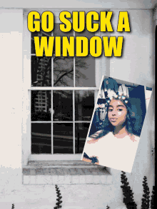 Window GIF - Window GIFs