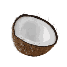 dancingcoconut