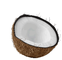 Dancingcoconut Sticker - Dancingcoconut Stickers