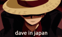 Luffy Dave In Japan GIF