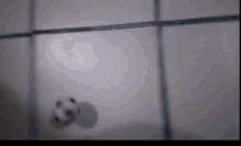 a soccer ball is sitting on a white tile floor