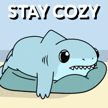 a cartoon of a shark with the words stay cozy written above it