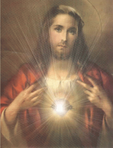 jour - Méditations sur l'Evangile du Jour ANNEE A - Page 7 Jesus-sacred-heart