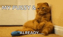a cat is sitting on the floor with the words " my pussy & already " on the bottom
