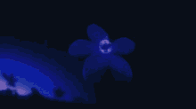 Water Droplet GIF - Water Droplet Flower GIFs