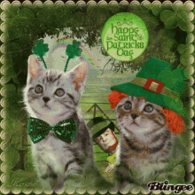 Kittens Cat GIF - Kittens Cat Happy St Patricks Day GIFs