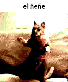 a dog is standing on its hind legs on a couch in a pixelated image .