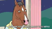 Why Are You Asking Me About This Bojack GIF
