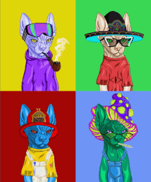 four colorful cats with one wearing a hat that says 24322