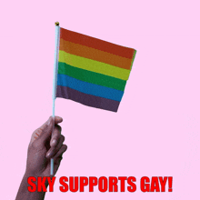 Sky Supports Gay Tian Chang Hu GIF - Sky Supports Gay Sky Tian Chang Hu GIFs