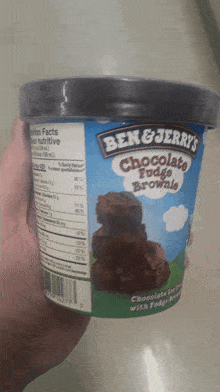 Ben And Jerrys Chocolate Fudge Brownie GIF