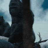 Planet Of The Apes Luca GIF - Planet Of The Apes Luca GIFs