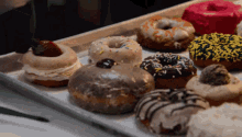The Bear Tv Show Doughnuts GIF - The Bear Tv Show Doughnuts Food GIFs