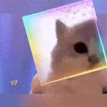 a dog is sitting in a rainbow colored cube with a w logo in the background .