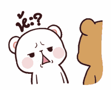 bear confused