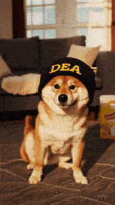 a dog wearing a black hat with dea written on it