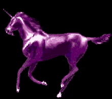 Unicorn Christina GIF - Unicorn Christina Purple Unicorn GIFs