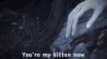 Discord Kitten Discord Kitten Meme GIF - Discord Kitten Discord Kitten Meme Elden Ring GIFs