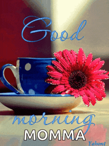 Good Morning Flower GIF - Good Morning Flower Sparkle GIFs
