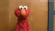 Shrug Elmo GIF - Shrug Elmo GIFs