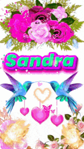 Sandra GIF - Sandra GIFs