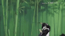 a group of people are standing in a bamboo forest .