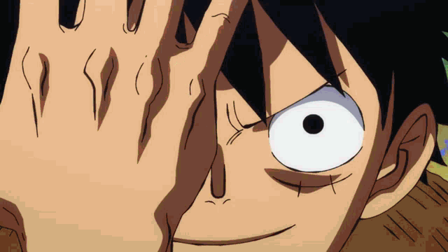 One Piece GIF - One Piece - Discover & Share GIFs