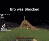 Minecraft Shock GIF - Minecraft Shock Bro Was Shocked GIFs