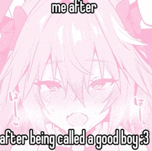 a picture of a girl with a caption that says me after after being called a good boy 3