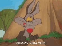 Yum Yummy GIF - Yum Yummy Wile E Coyote GIFs