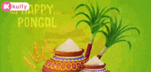 pongal vazhthukkal happy pongal pongal wishes wishes trending