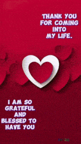 a thank you for coming into my life greeting card with hearts and a cat