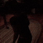 a woman is standing in a dark room with a lamp