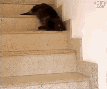 Cat Lazy GIF - Cat Lazy GIFs