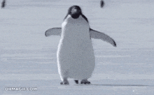 a penguin is walking in the snow with its wings spread .