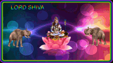 lord shiva hinduism colors elephant flower