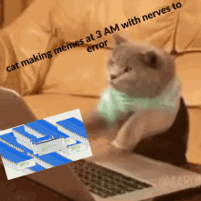 Cat Making Memes At3am GIF - Cat Making Memes At3am GIFs