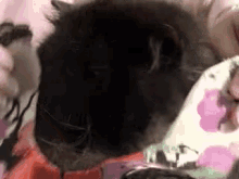 a close up of a black cat laying on a floral blanket .