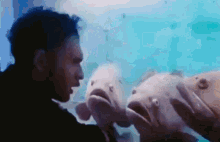 Blobfish Blobfish Lecture GIF - Blobfish Blobfish Lecture Lecture GIFs