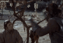 Planet Of The Apes What GIF - Planet Of The Apes What Omg GIFs