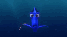 Dory Findingdory GIF - Dory Findingdory Nemo GIFs