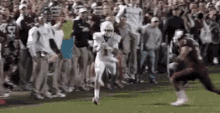 a football player is running on a field with a crowd watching .