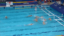swimming olympics