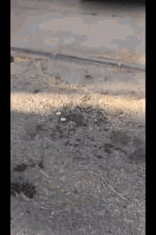 a close up of a concrete surface with a few pieces of grass on it