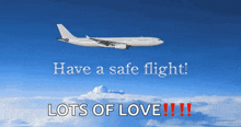 Have A Safe Flight GIF