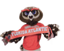 fau florida atlantic university florida atlantic owlsley go owls
